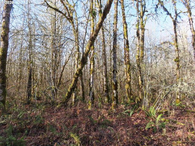 115 CAMPGROUND Ln, Winlock, WA 98596