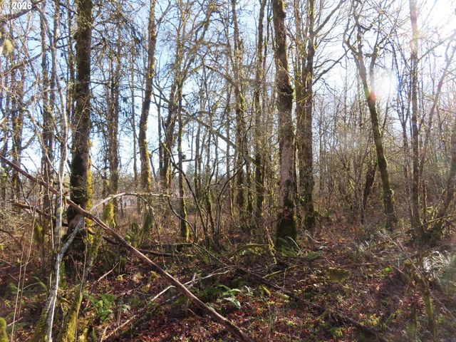 115 CAMPGROUND Ln, Winlock, WA 98596