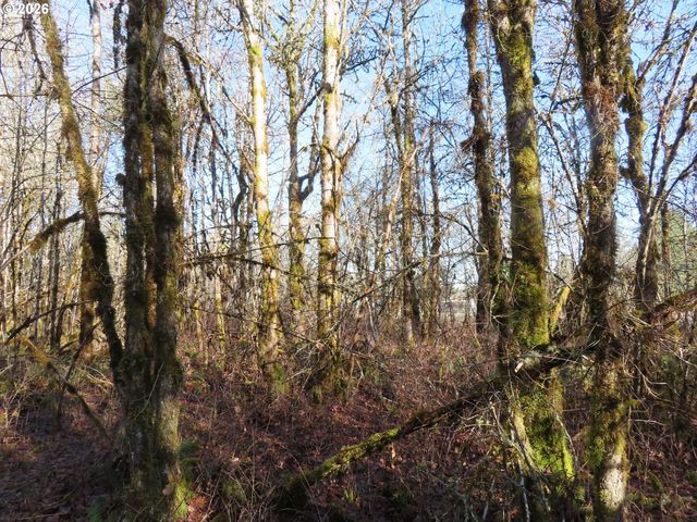 115 CAMPGROUND Ln, Winlock, WA 98596