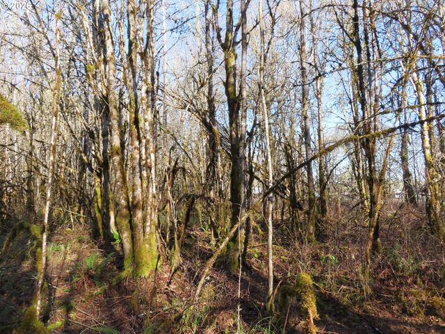 115 CAMPGROUND Ln, Winlock, WA 98596