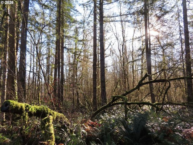 115 CAMPGROUND Ln, Winlock, WA 98596