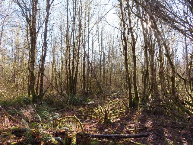 115 CAMPGROUND Ln, Winlock, WA 98596