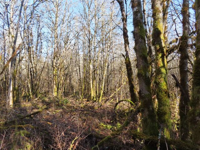 115 CAMPGROUND Ln, Winlock, WA 98596