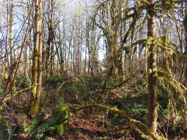 115 CAMPGROUND Ln, Winlock, WA 98596