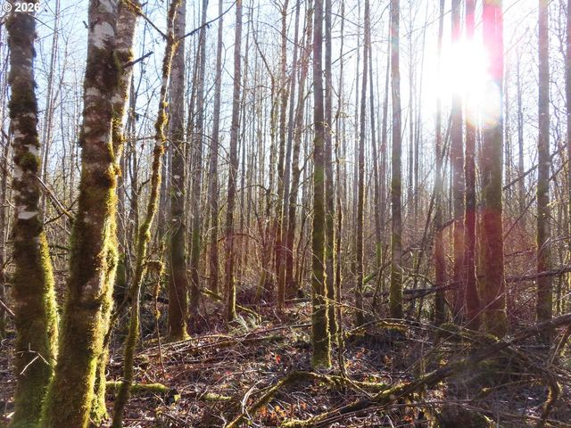 115 CAMPGROUND Ln, Winlock, WA 98596