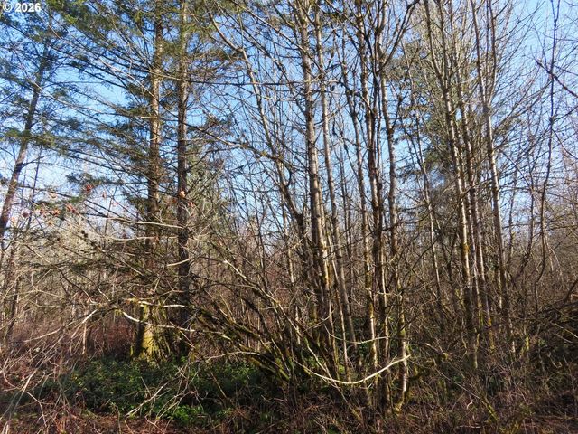 115 CAMPGROUND Ln, Winlock, WA 98596