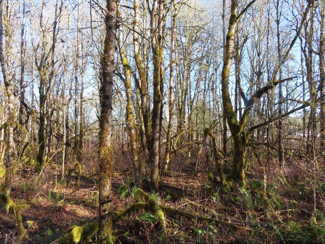 115 CAMPGROUND Ln, Winlock, WA 98596