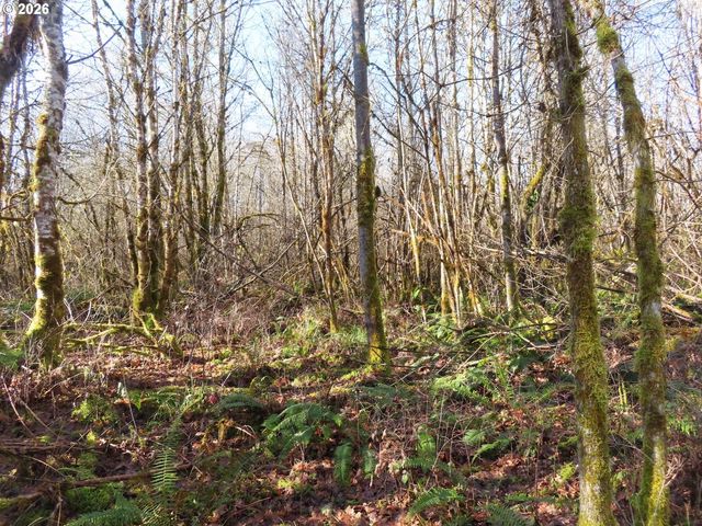 115 CAMPGROUND Ln, Winlock, WA 98596