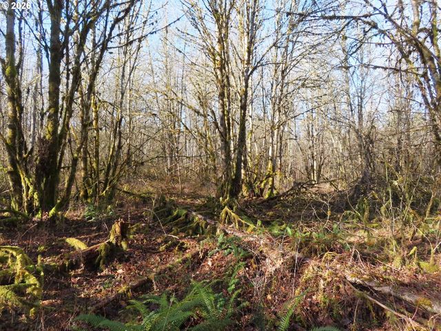 115 CAMPGROUND Ln, Winlock, WA 98596