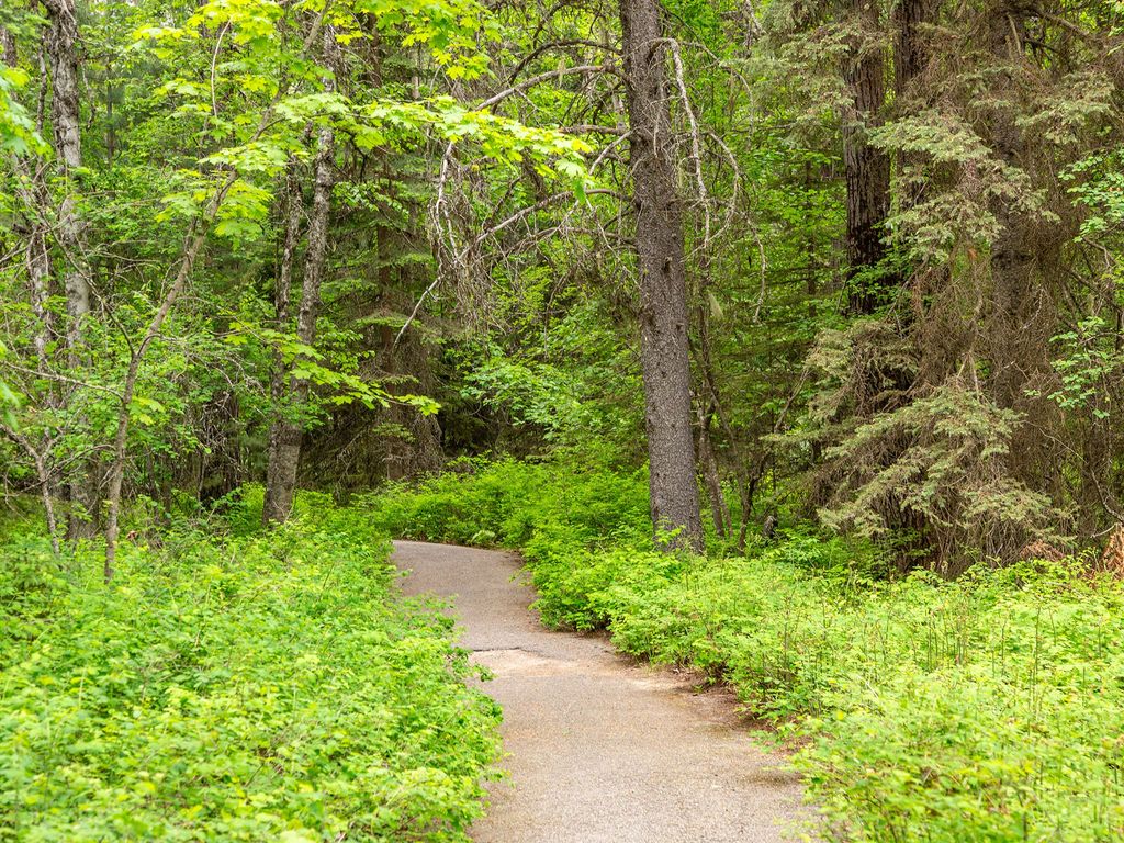 47 McDonald Creek Lane, West Glacier, MT 59936 photo 49