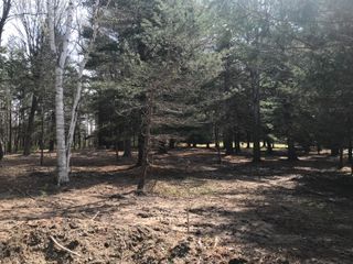 7087 Creekwood Drive, South Haven, MI 49090