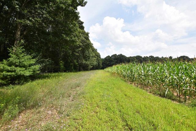W8970 COTTONVILLE DRIVE, Wautoma, WI 54982