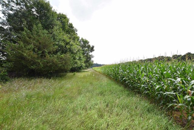 W8970 COTTONVILLE DRIVE, Wautoma, WI 54982