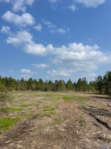 Tract 13 Lorin Wall Rd, Holden, LA 70774