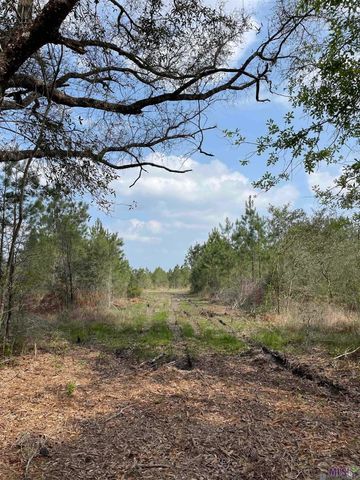 Tract 13 Lorin Wall Rd, Holden, LA 70774