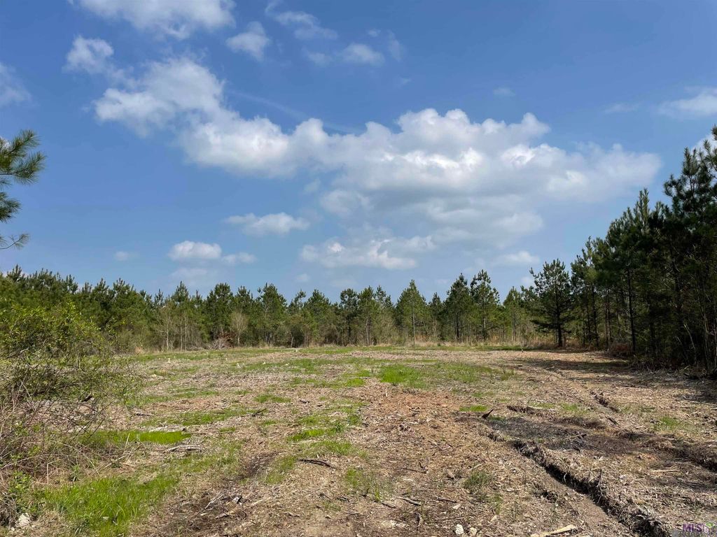 Tract 13 Lorin Wall Rd, Holden, LA 70774