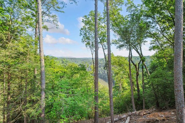54 Myna Court, Ellijay, GA 30540