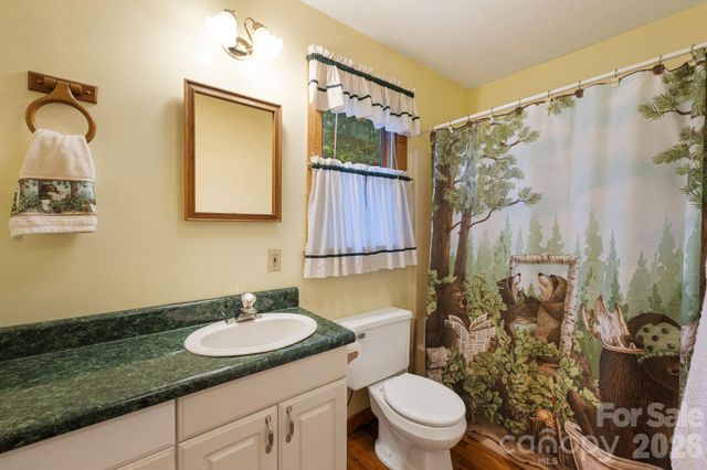 180 Grace Way, Green Mountain, NC 28740