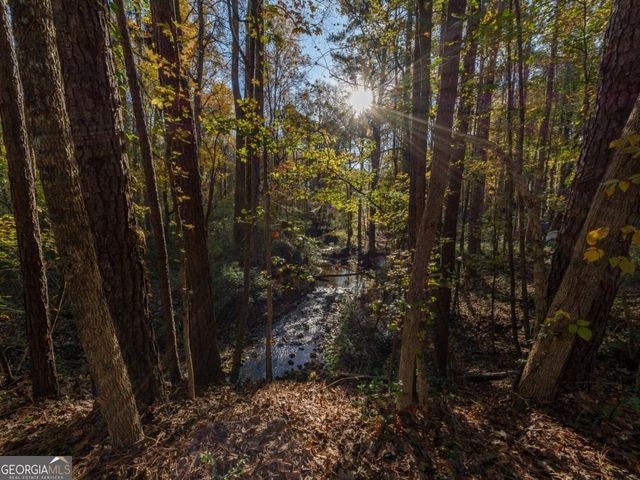 479 Bradshaw Lane, Canton, GA 30115