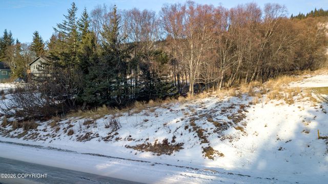 1080 Eric Lane, Homer, AK 99603