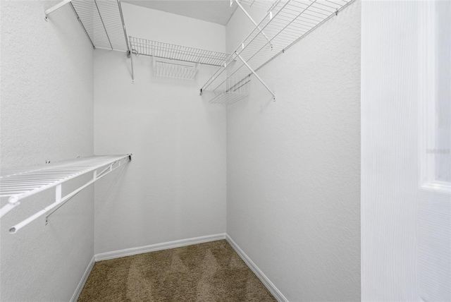 113 GRAND BEACH PLACE, Tampa, FL 33609