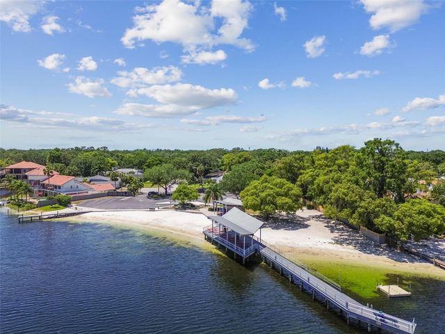 3106 LAKE ELLEN DRIVE, Tampa, FL 33618