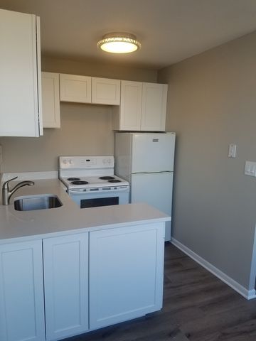 6171 N Sheridan Road 705, Chicago, IL 60660