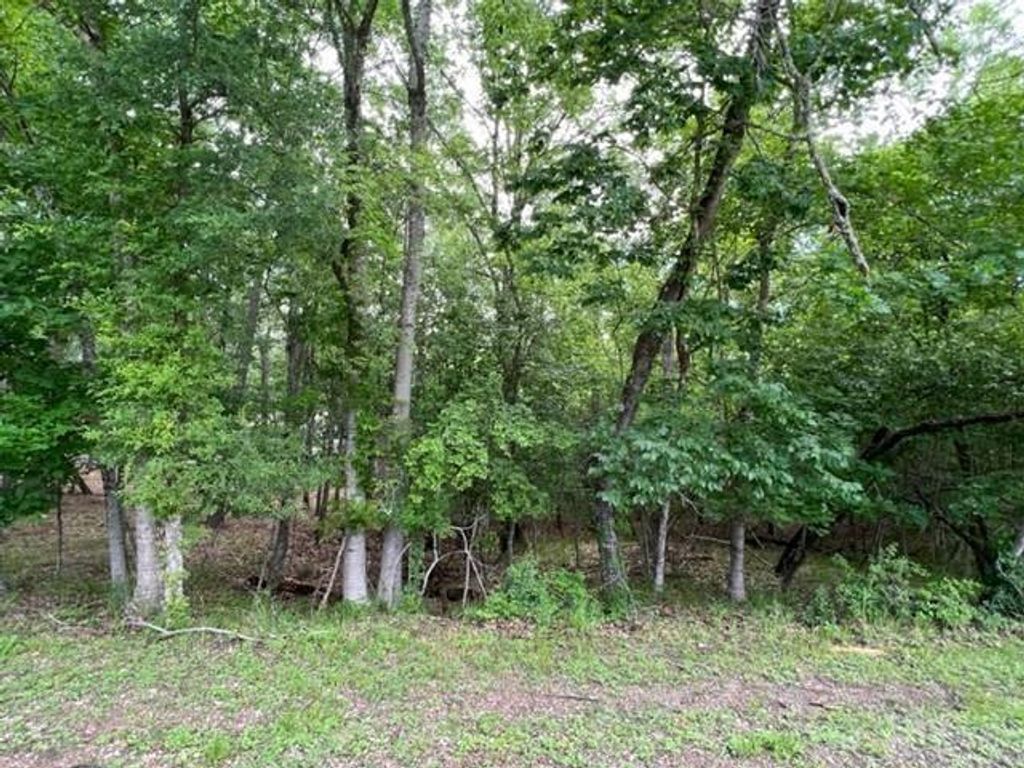 161 N Pine Harbour Drive, Coldspring, TX 77331