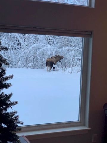 1921 BLACKBURN WAY, North Pole, AK 99705