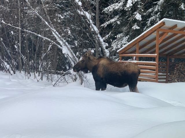 1921 BLACKBURN WAY, North Pole, AK 99705