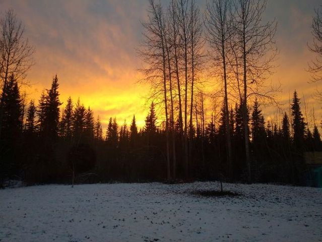 1921 BLACKBURN WAY, North Pole, AK 99705