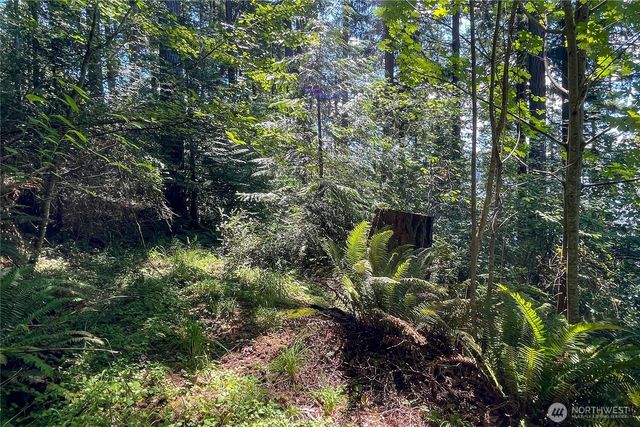 3 NW Sulphur Springs Lot 3, Bremerton, WA 98310