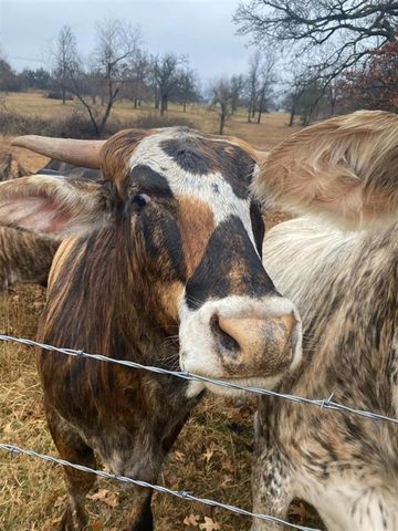 15174 Gray Fox Road, Choctaw, OK 73020