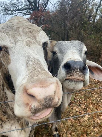 15174 Gray Fox Road, Choctaw, OK 73020