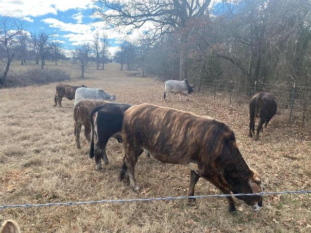 15174 Gray Fox Road, Choctaw, OK 73020