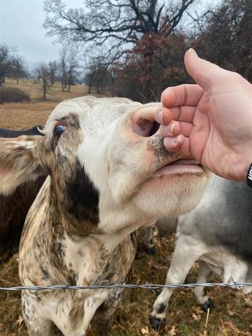 15174 Gray Fox Road, Choctaw, OK 73020