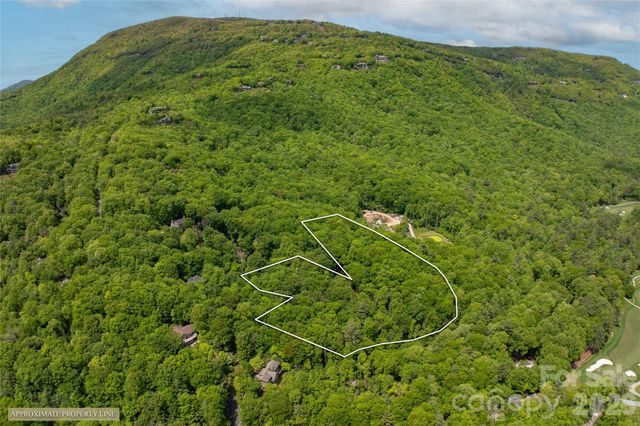 TM 1R Toxaway Drive, Lake Toxaway, NC 28747