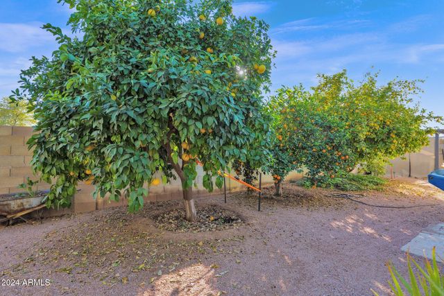 3401 N DAKOTA Street, Chandler, AZ 85225