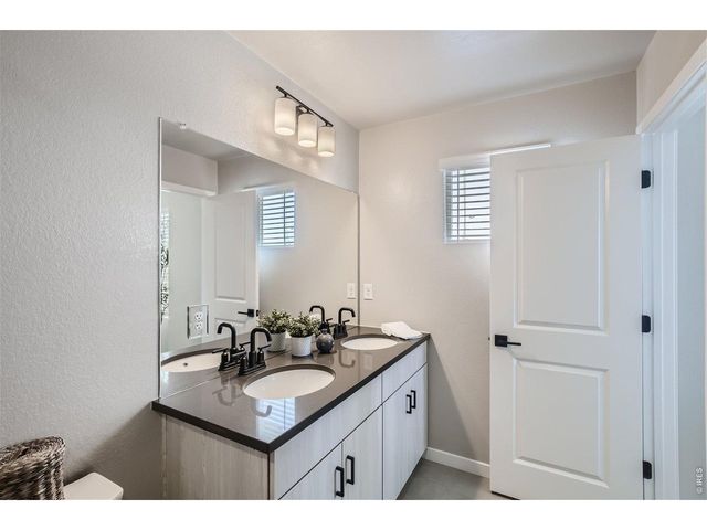 746 Pokeweed Ln, Fort Collins, CO 80524