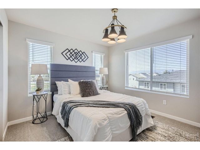 746 Pokeweed Ln, Fort Collins, CO 80524