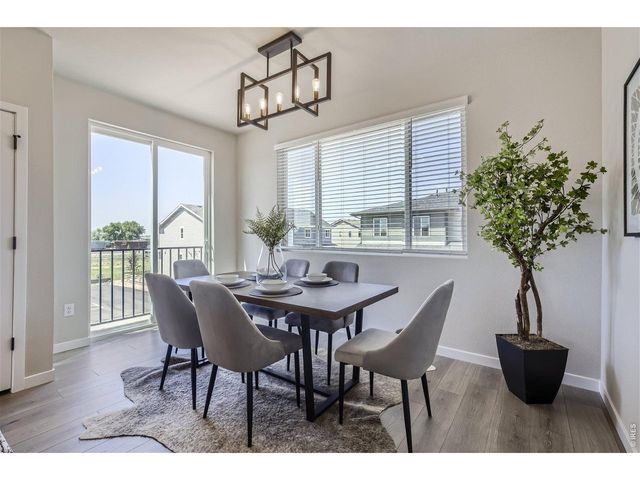 746 Pokeweed Ln, Fort Collins, CO 80524
