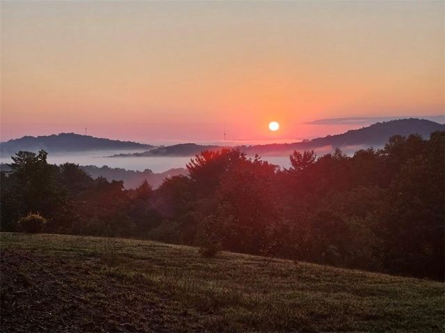 259 Red Bush School Road, Blue Ridge, GA 30513
