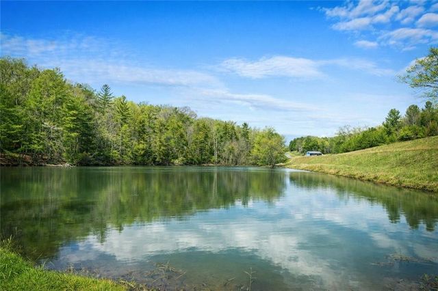 259 Red Bush School Road, Blue Ridge, GA 30513