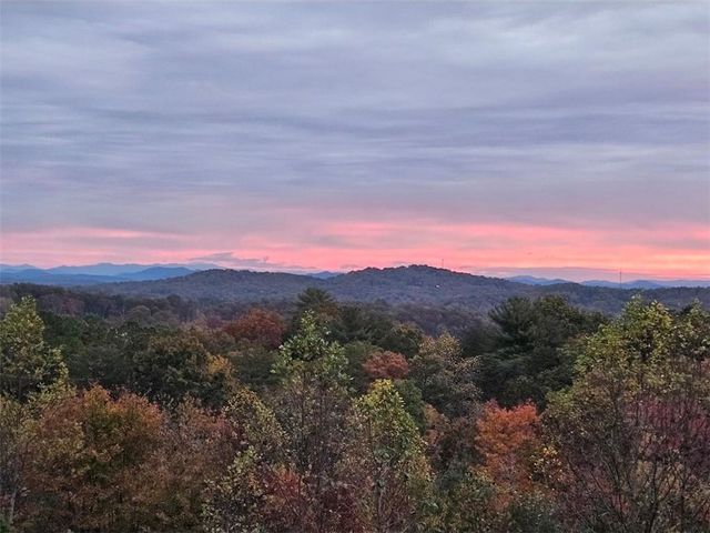 259 Red Bush School Road, Blue Ridge, GA 30513