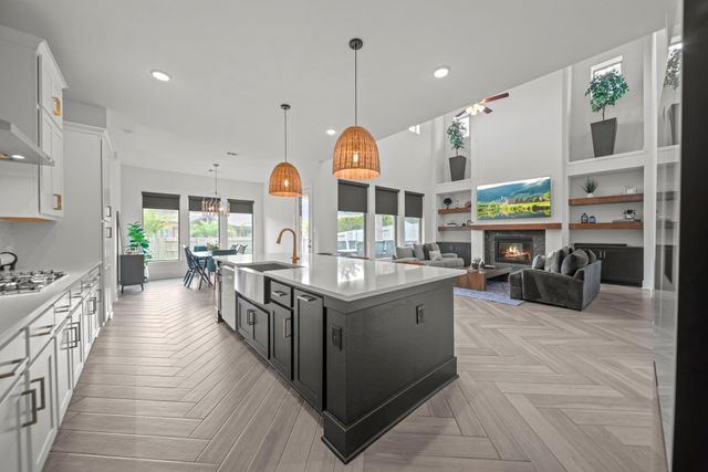 222 Patina Sorrel Drive, Montgomery, TX 77316