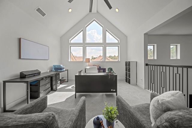 222 Patina Sorrel Drive, Montgomery, TX 77316