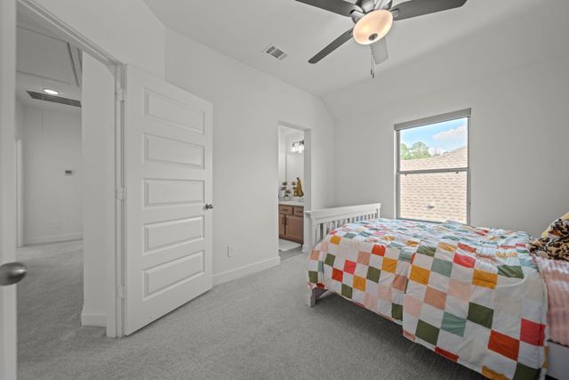 222 Patina Sorrel Drive, Montgomery, TX 77316