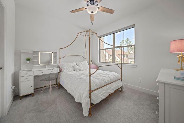 222 Patina Sorrel Drive, Montgomery, TX 77316