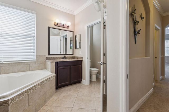3065 MURANO COURT, Mount Dora, FL 32757