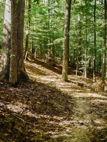 0 Pinewood Road, Franklin, TN 37064